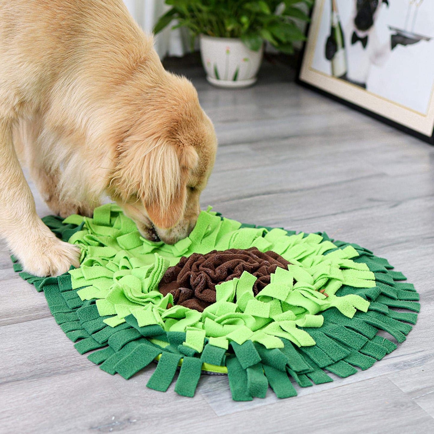 Avocado Foraging Enrichment Toy for Stress Relief & Mental Stimulation - Calming Pet Sniffing Mat to Relieve Boredom, Separation Anxiety & Encourage Natural Hunting Instincts