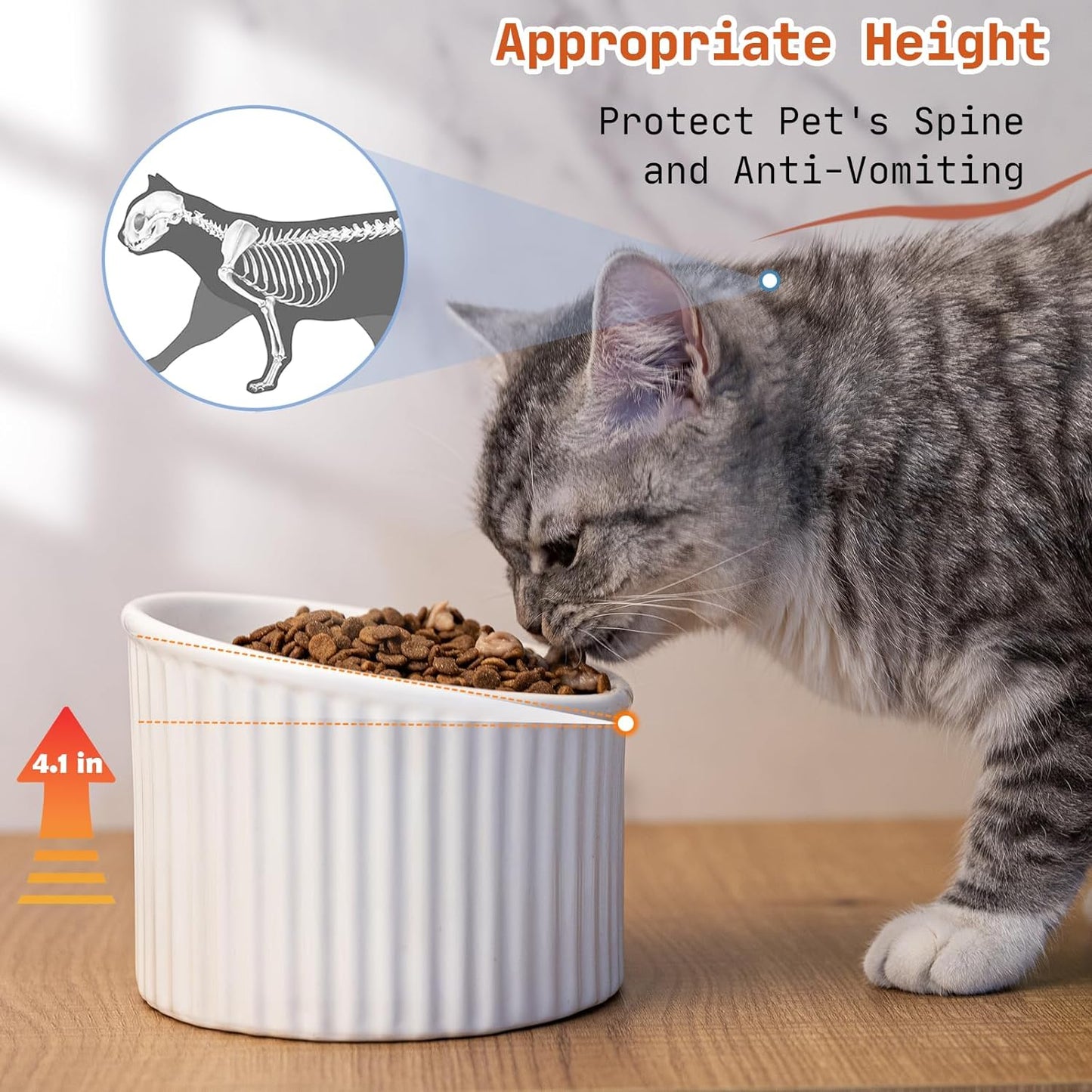 Elevated Cat Bowls Raised Cat Bowl For Indoor Cats Tilted Ceramic Elevated Food Or Water Bowls Anti Vomit Whisker Friendly Bowls Round Shape