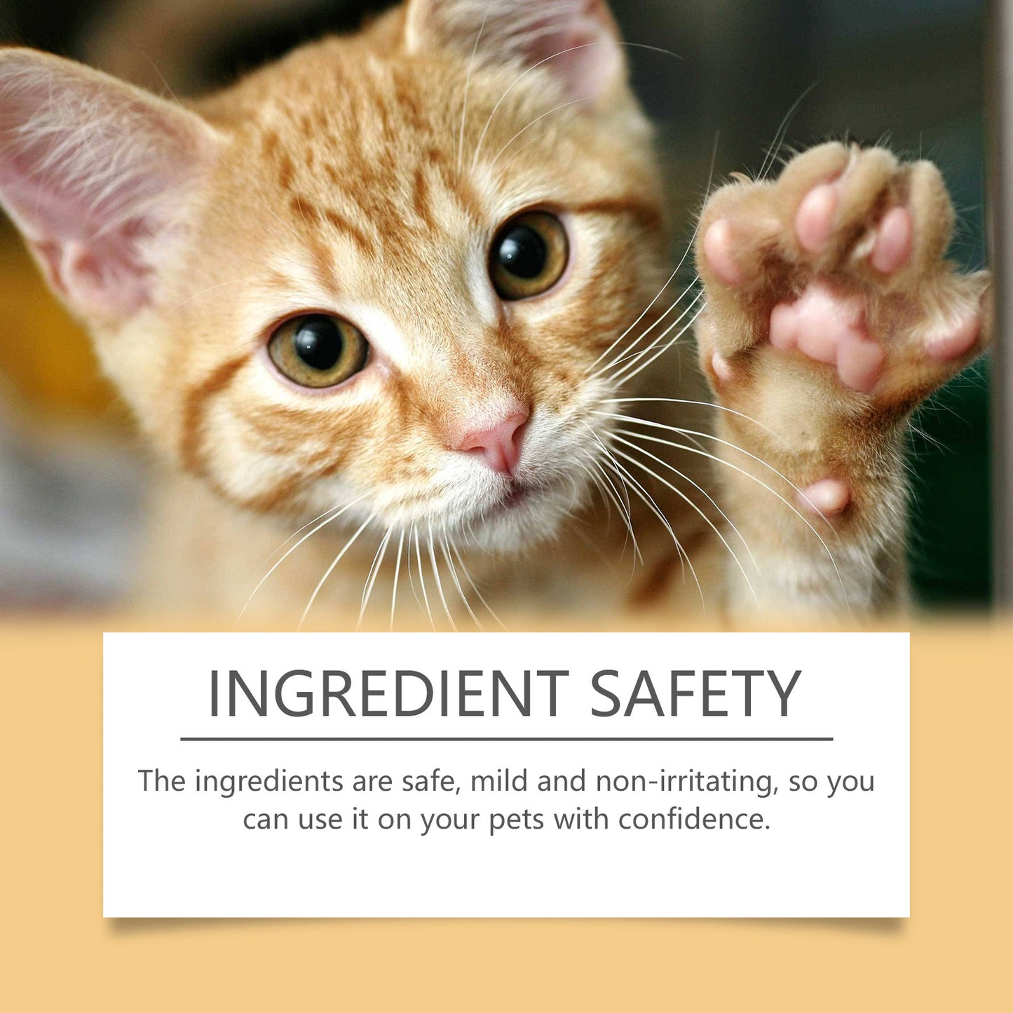 Pure Comfort Pet Paw Soother - Premium All-Natural Nursing Stick for Soft, Healthy Paws - Gentle Daily Protection & Relief for Your Beloved Dog or Cat - Enriched with Nourishing Moroccan Argan Oil