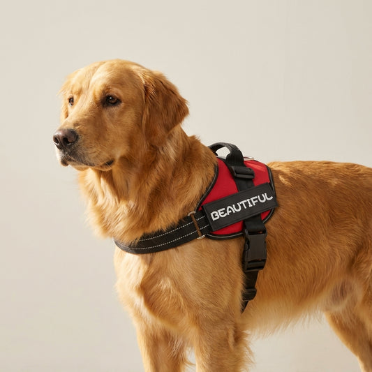 Ultimate Comfort Reflective Dog Harness – Safe & Secure Nighttime Walking Vest – Soft, Adjustable Breathable Gear for Happy Adventures & Stress-Free Bonding