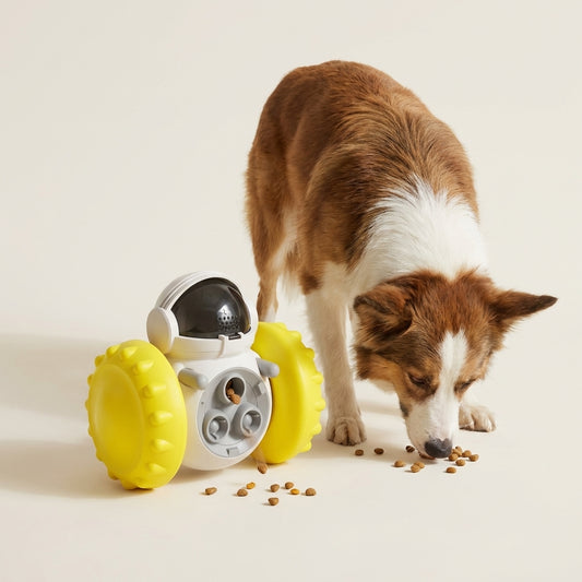 Engaging Robot Companion for Pets – Mental Enrichment & Healthy Slow Feeding Treat Toy – Fun Self-Righting Balance Puzzle to Reduce Boredom & Anxiety