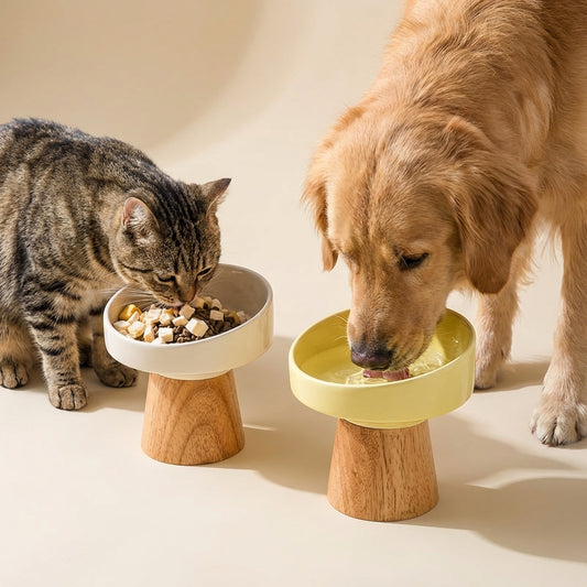 Premium Orthopedic Pet Dining Plate - Stress-Free Comfort for Cats & Puppies, Promotes Healthy Digestion & Posture, Modern Raised Ceramic Design for Happy, Mess-Free Mealtimes