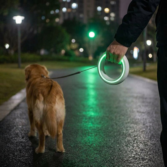 Cute King Star Retractable Pet Leash Dog Leash Dog Chain Leash Collar Amazon Hot