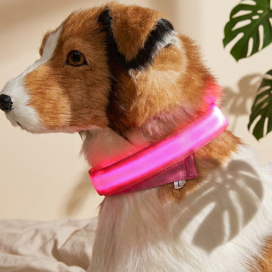 Nylon LED Pet Dog Luminous Collar Night Safety Flashing Glow in Dark Dog Cat Leash Adjustable Pet Supplies
