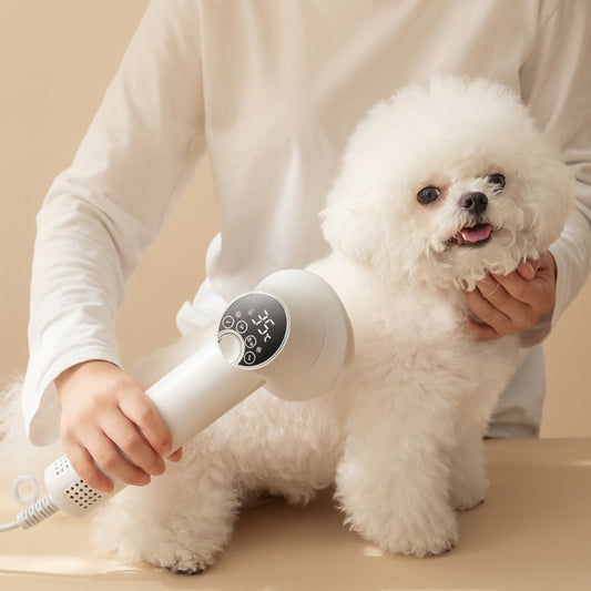 Stress-Free Home Spa: Whisper-Quiet 2-in-1 Pet Grooming Brush & Dryer for Gentle Bonding - Soft, Fluffy Results Your Dog & Cat Will Love