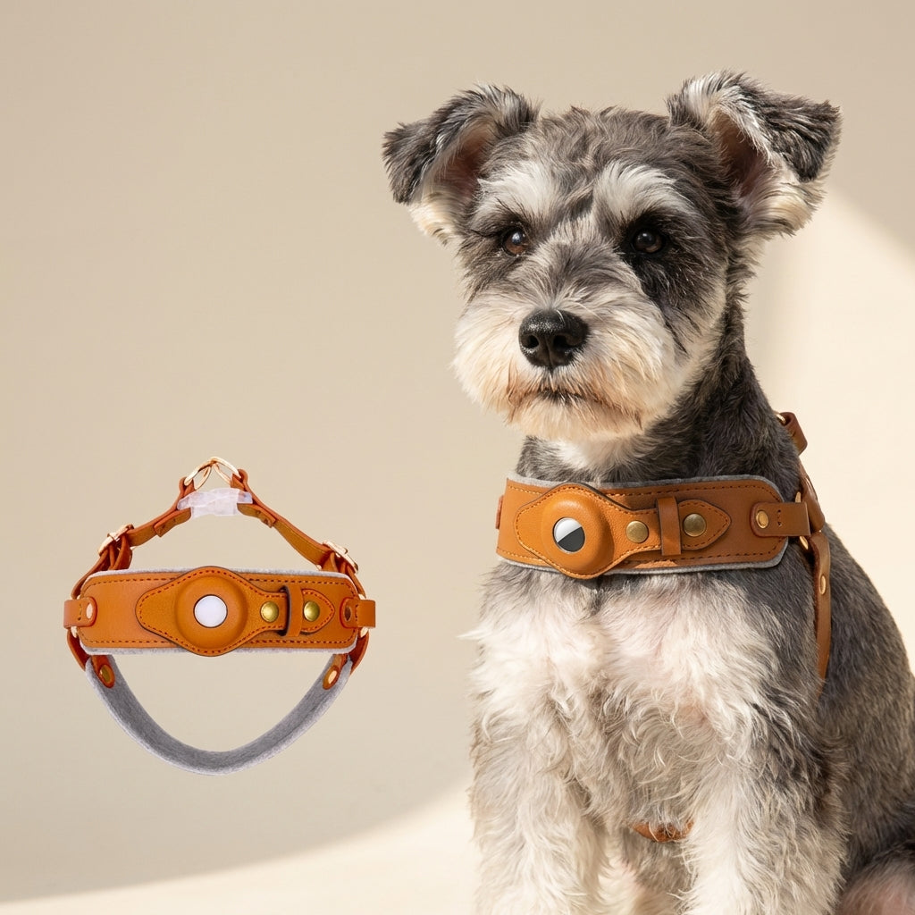 Chest Back Airtag Positioning With Dog Traction Rope