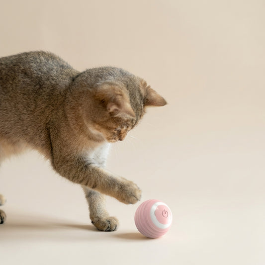 Boredom Relief Smart Ball for Cats - Engage Your Pet's Hunting Instincts with Active Self-Moving Play, Mental Stimulation & Healthy Exercise for Happy Indoor Kittens